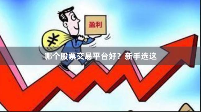 哪个股票交易平台好？新手选这