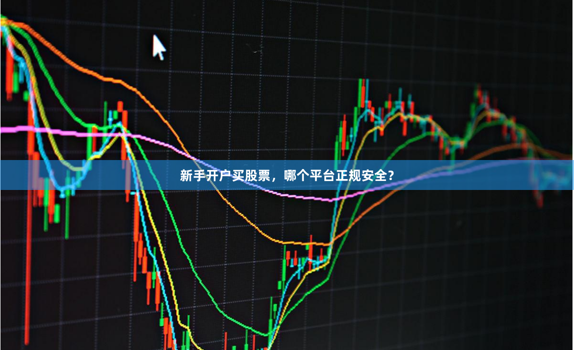 新手开户买股票，哪个平台正规安全？
